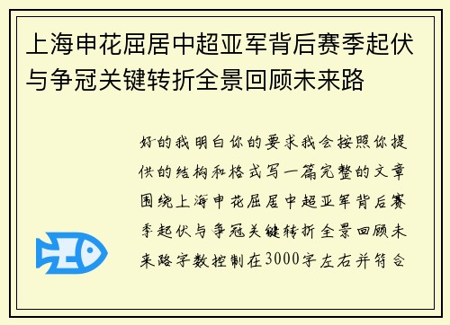 上海申花屈居中超亚军背后赛季起伏与争冠关键转折全景回顾未来路 上海申花屈居中超亚军背后赛季起伏与争冠关键转折全景回顾未来路